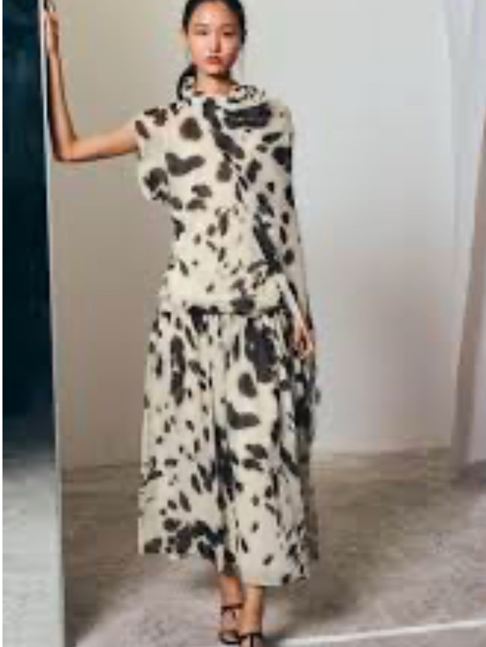 Zara Brown and White Spot Print Sheer Maxi Dress - Picture 3 of 4
